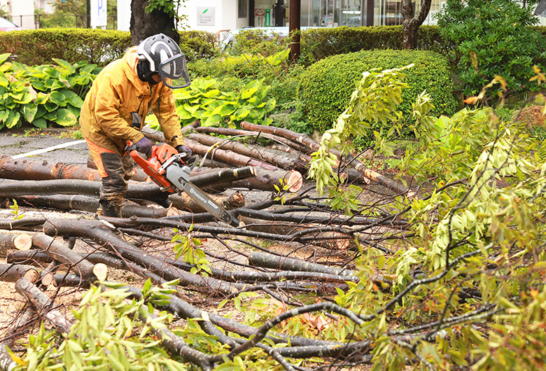 樹木の伐採・剪定のことなら、お電話でお気軽にご相談ください
